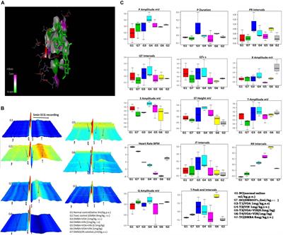 Repurposing Combination Therapy of Voacamine With Vincristine for Downregulation of Hypoxia-Inducible Factor-1α/Fatty Acid Synthase Co-axis and Prolyl Hydroxylase-2 Activation in ER+ Mammary Neoplasia